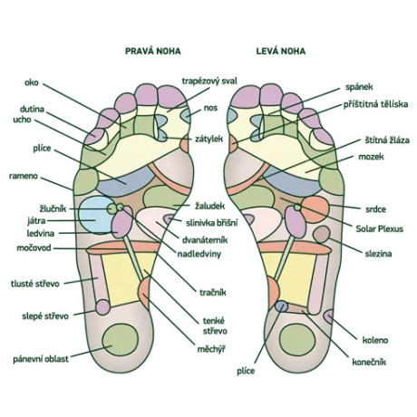 Detoxikační náplasti Chi Sana 10 ks, PegraStore.cz