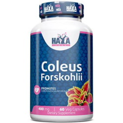 Haya Labs Coleus Forskohlli