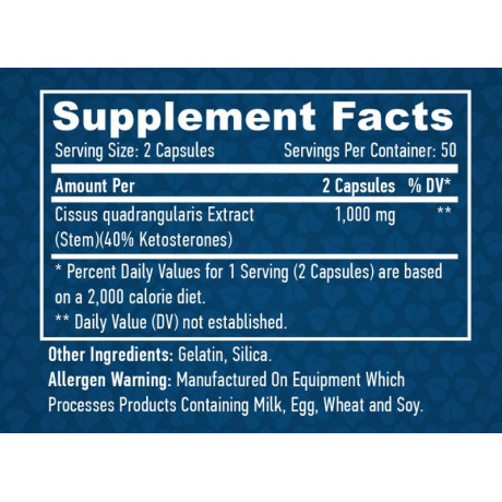 Haya Labs Cissus 500mg